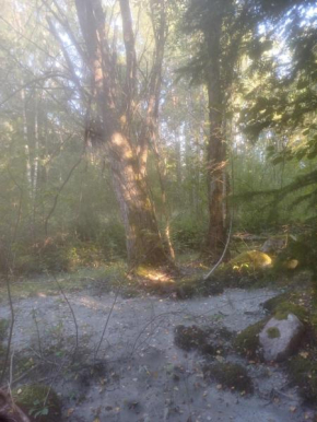 Lempi in Espoo